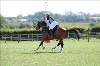 UKPA NC SAT_2281